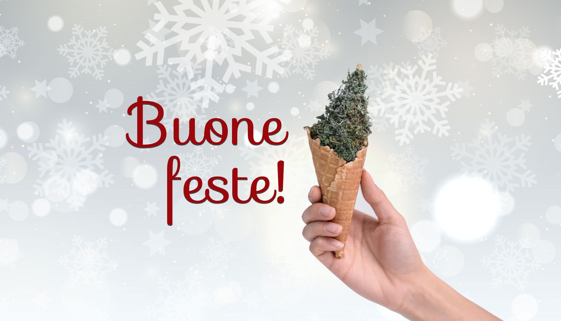 Buone feste da Modulo Inox